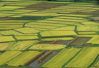 不可不知的农村土地承包(一)